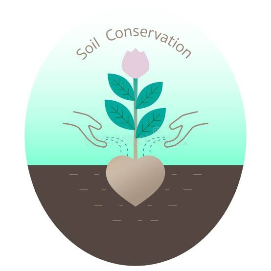 Soil conservation illustration